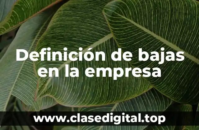 Definición de bajas en la empresa