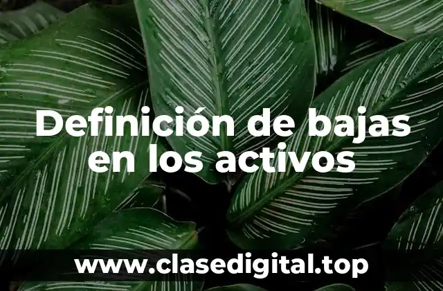 Definición de bajas en los activos