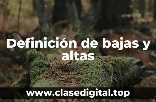 Definición técnica de bajas y altas