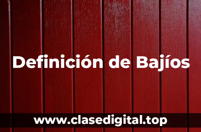 Definición de Bajíos