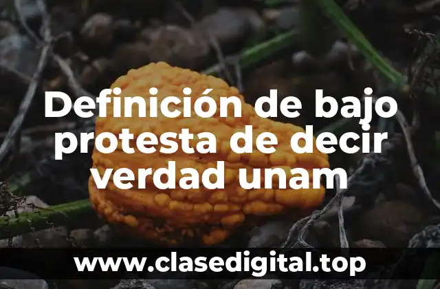 Definición de bajo protesta de decir verdad unam