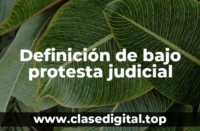 Definición de bajo protesta judicial