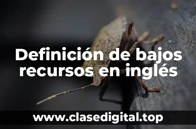 Definición de bajos recursos en inglés