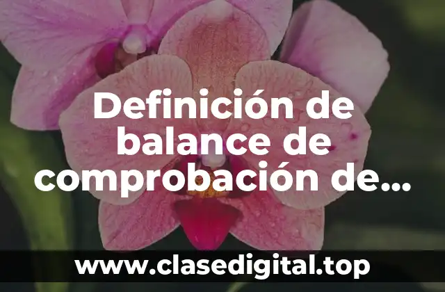 Definición de balance de comprobación de sumas y saldos