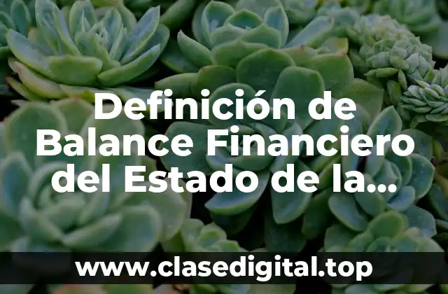 Definición de Balance Financiero del Estado de la Macroeconomía