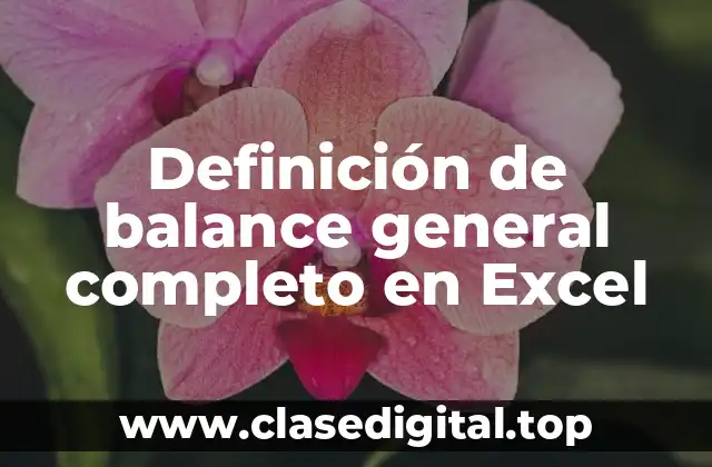 Definición de balance general completo en Excel