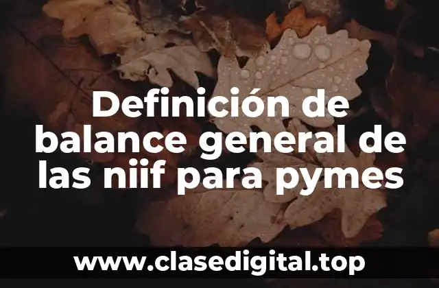 Definición técnica del balance general de las NIIF para pymes