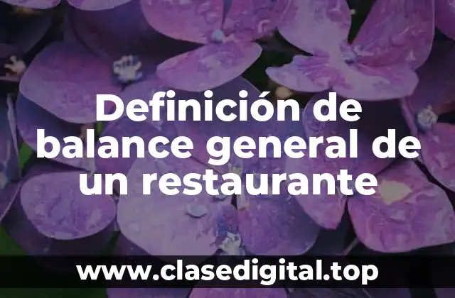 Ejemplos de balance general de un restaurante