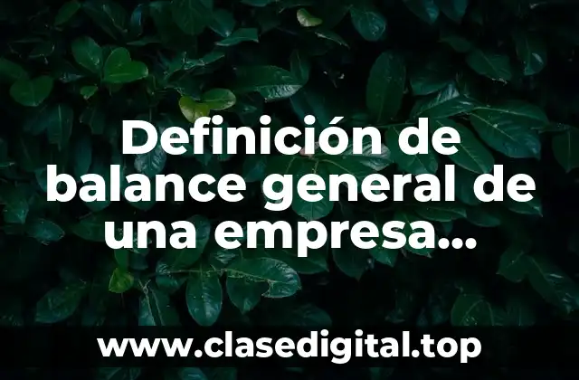 Definición de balance general de una empresa industrial