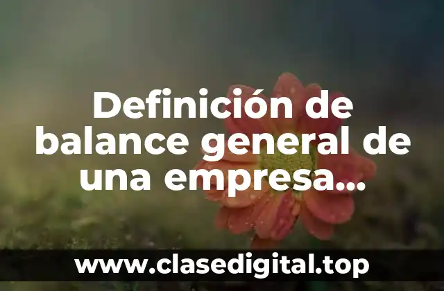 Definición de balance general de una empresa lucrativa
