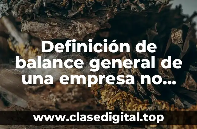 Ejemplos de balance general de una empresa no lucrativa