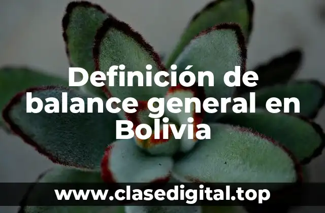 Definición técnica de balance general