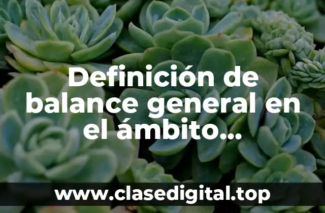 Definición técnica de balance general en el ámbito gubernamental