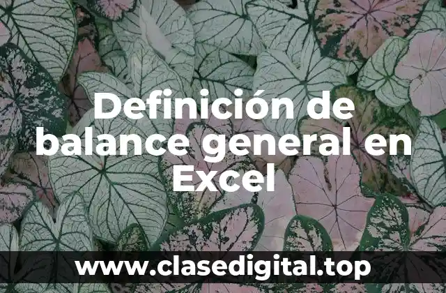 Definición de balance general en Excel