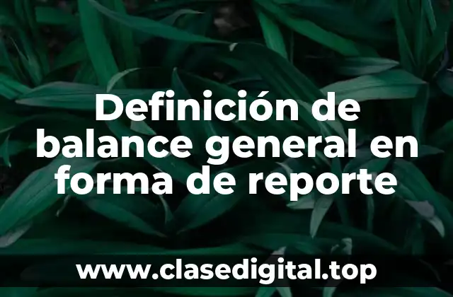 Ejemplos de balance general en forma de reporte
