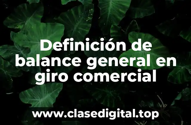 Definición de balance general en giro comercial