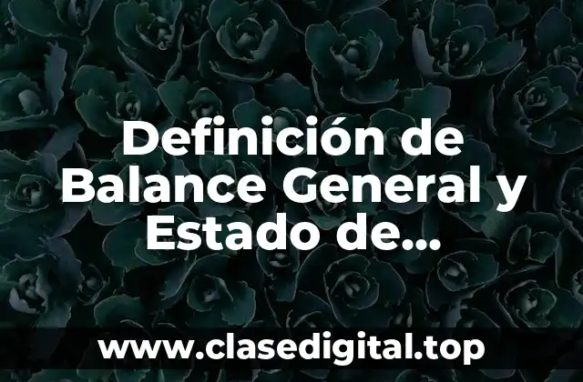 Definición de Balance General y Estado de Resultados