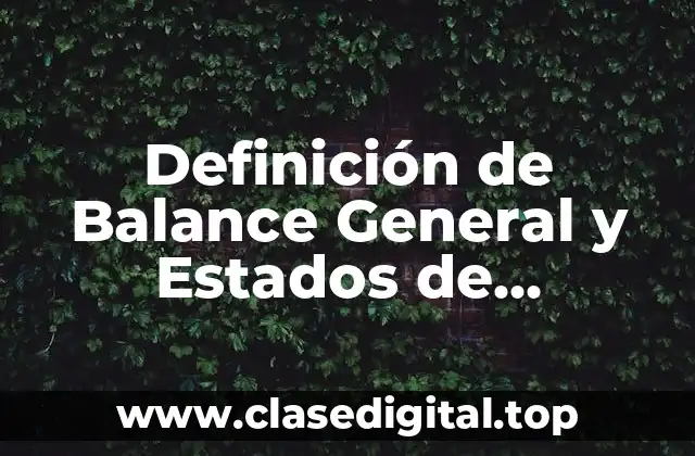 Definición de Balance General y Estados de Resultados