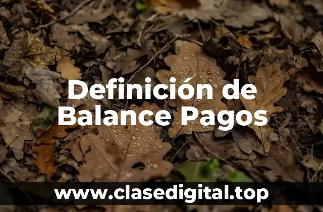 Definición de Balance Pagos