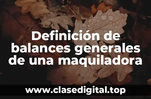 Definición de balances generales de una maquiladora
