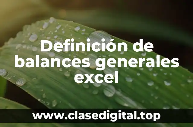 Definición de balances generales excel