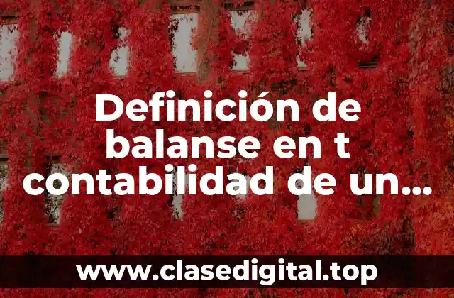 Definición de balanse en t contabilidad de un hospital