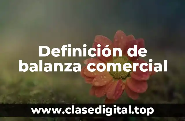 Definición de balanza comercial