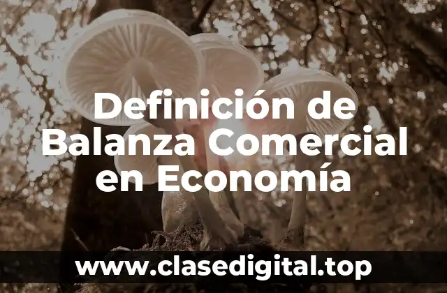 Definición técnica de Balanza Comercial