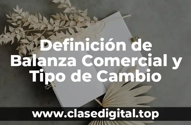 Definición de Balanza Comercial y Tipo de Cambio