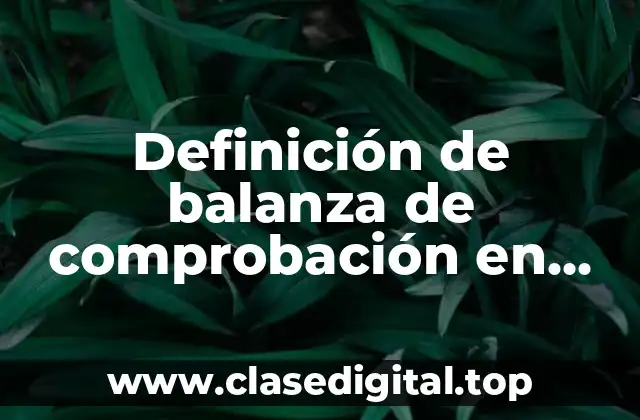 Definición de balanza de comprobación en contabilidad unadm