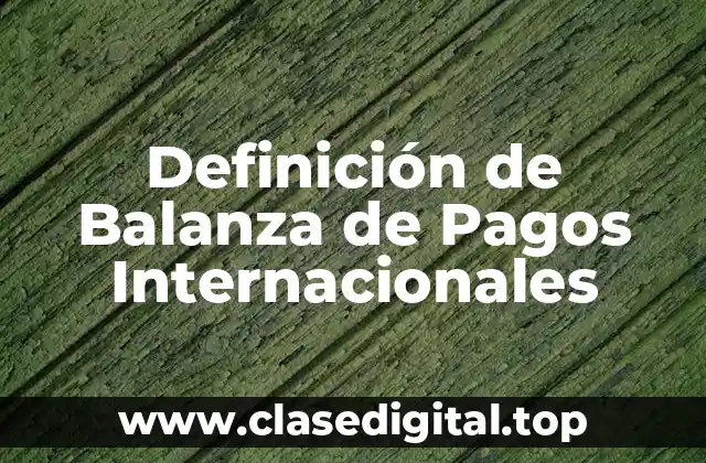 Definición de Balanza de Pagos Internacionales