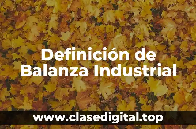 Definición de Balanza Industrial