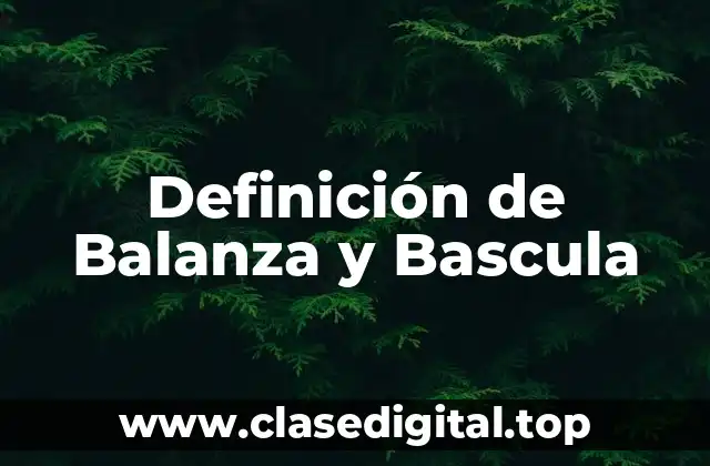 Definición Técnica de Balanza y Bascula