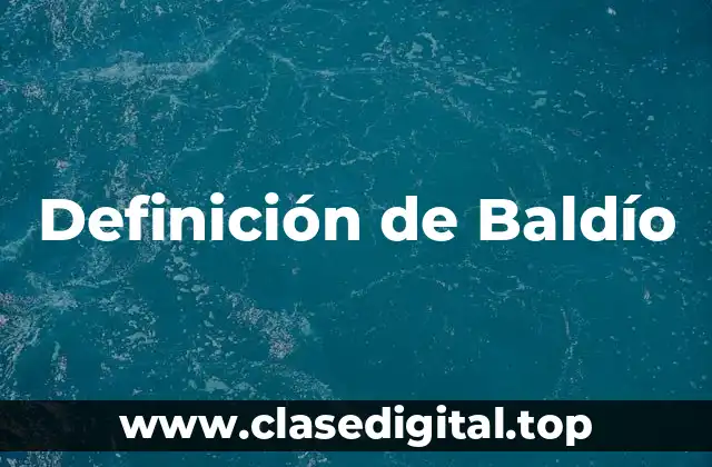 Definición de Baldío