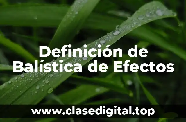 Definición de Balística de Efectos