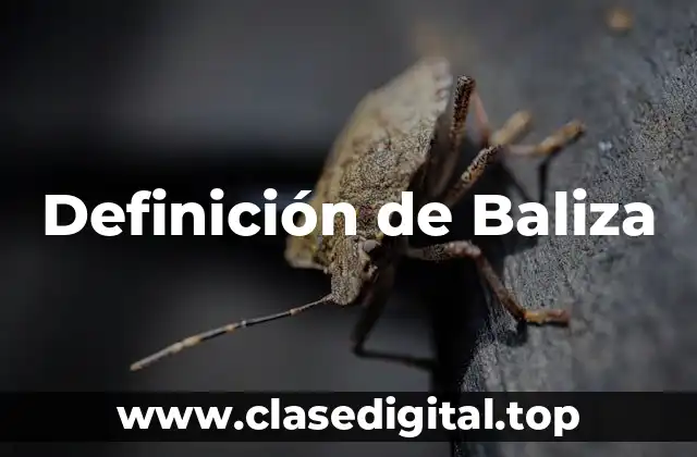 Definición de Baliza