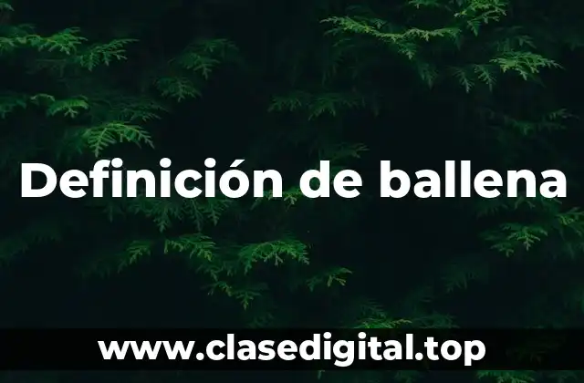 Definición de ballena