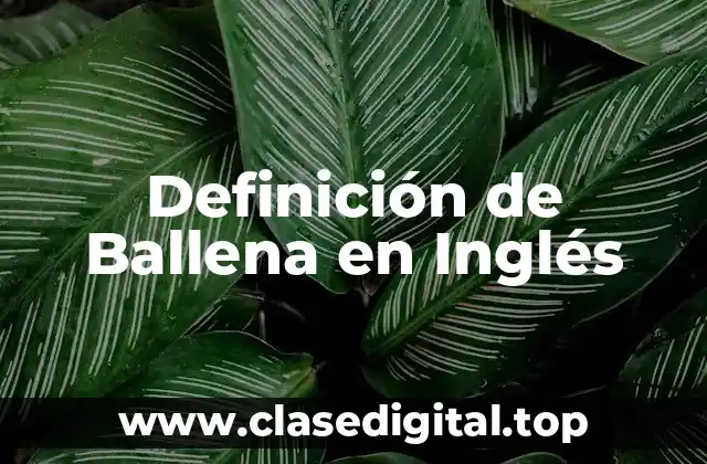 Definición de Ballena en Inglés