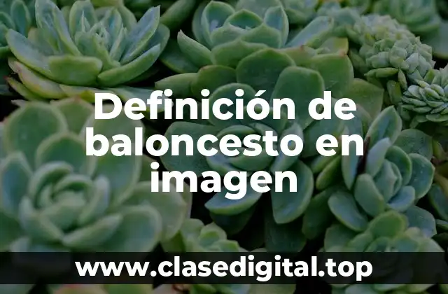 Definición de baloncesto en imagen