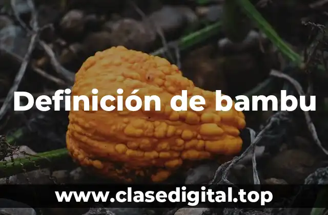 Definición de bambu