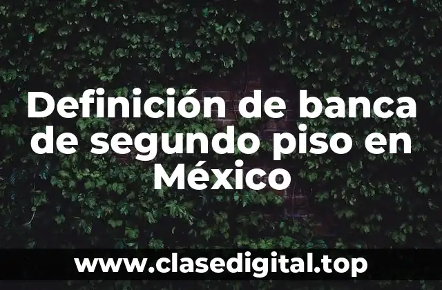 Ejemplos de banca de segundo piso