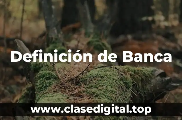 Definición de Banca