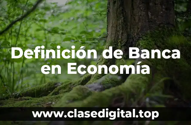 Definición de Banca en Economía