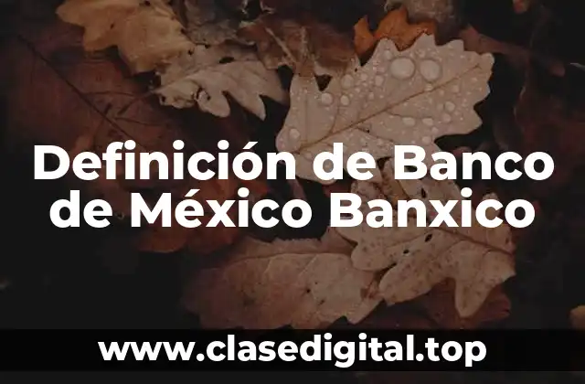 Definición de Banco de México Banxico
