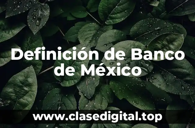 Definición técnica de Banco de México
