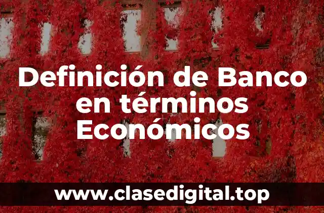 Definición de Banco en términos Económicos