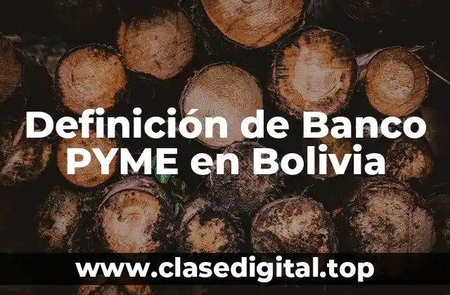 Definición de Banco PYME en Bolivia