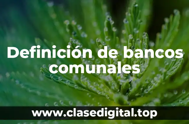Definición de bancos comunales