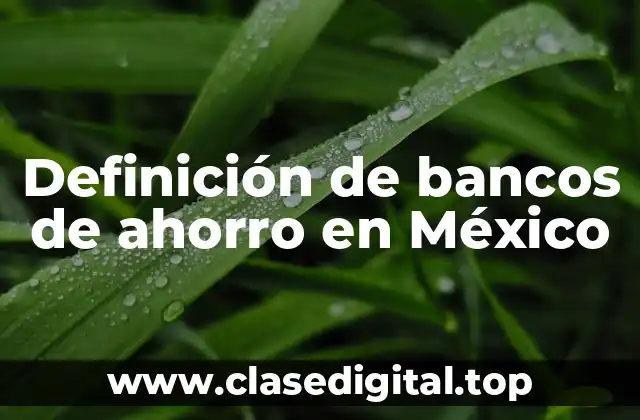 Definición de bancos de ahorro en México
