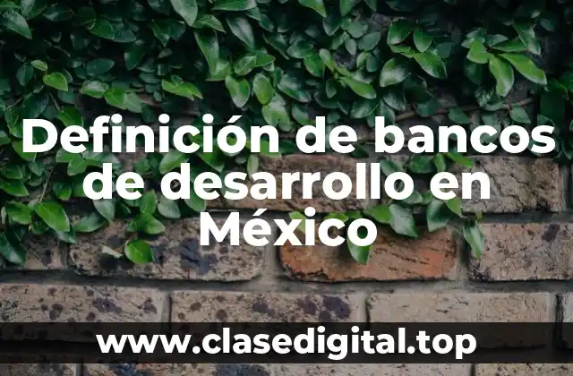 Definición de bancos de desarrollo en México